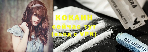 индика Нягань