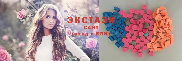 индика Нягань
