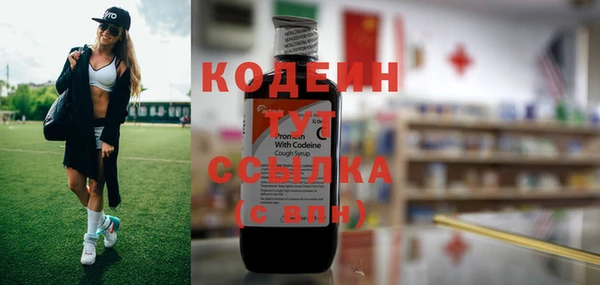 индика Нягань