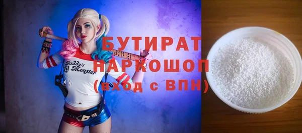 индика Нягань