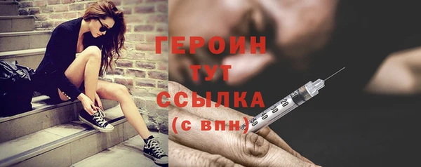 индика Нягань
