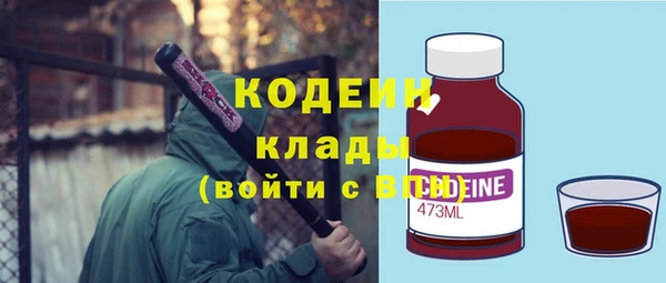 индика Нягань