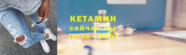 индика Нягань