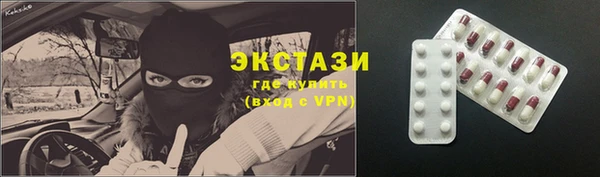 индика Нягань