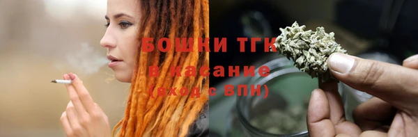 индика Нягань