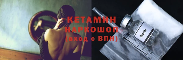 индика Нягань