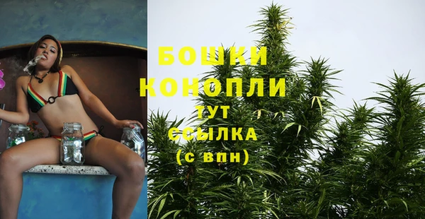 индика Нягань