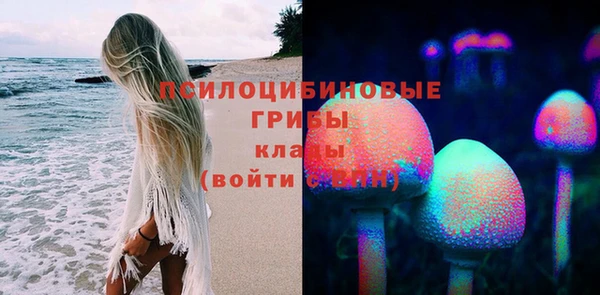 соль ск Нязепетровск