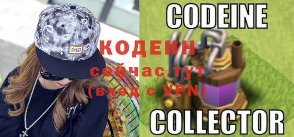индика Нягань