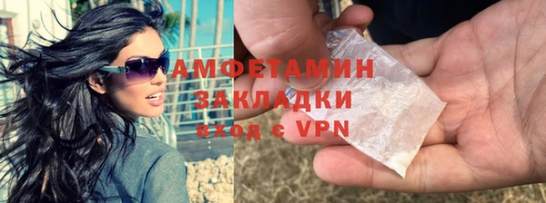 индика Нягань