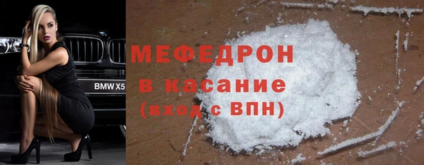 индика Нягань